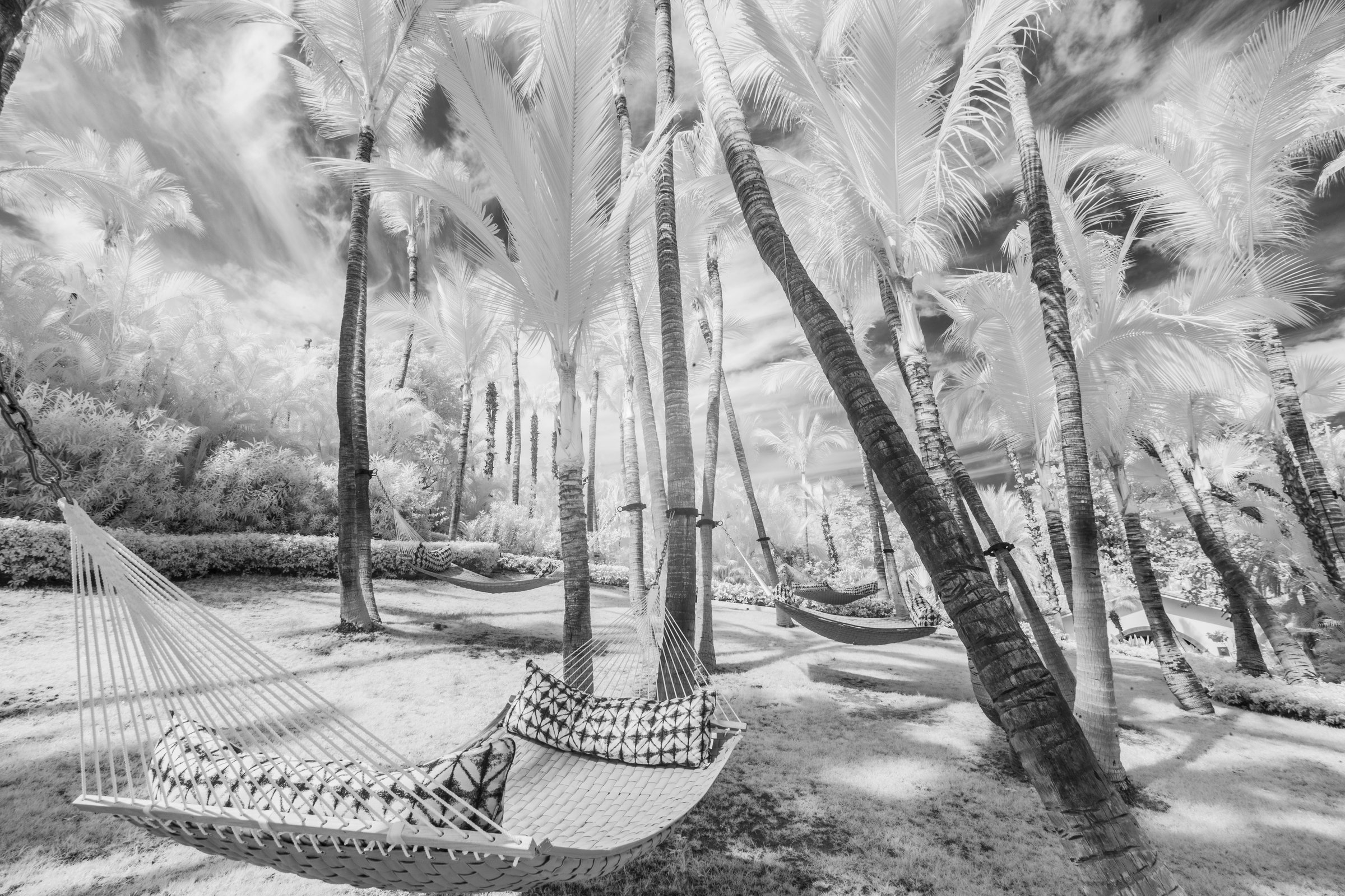 Cabo Hammock IR
